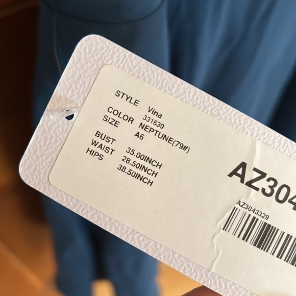 NWT AZAZIE VINA
A-Line Lace Chiffon Dress 
Size A6
Color Neptune - Picture 8 of 11